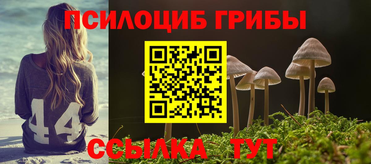 Сергиев Посад  Псилоцибиновые грибы GOLDEN TEACHER  Вход с VPN  Псилоцибиновые грибы Magic Shrooms 